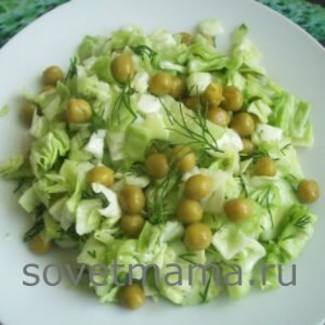 Салаты из свежей капусты-рецепты простые и вкусные