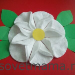 Цветы из ватных дисков своими руками пошаговые фото